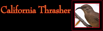 California Thrasher Gallery