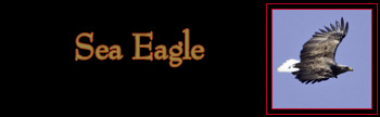 Sea Eagle Gallery